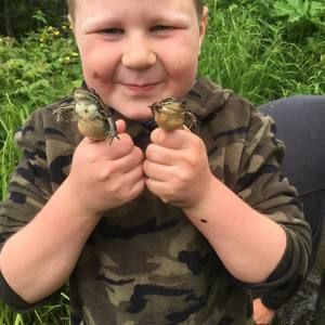 Meet your Posher, Nikki